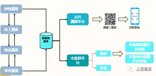 強(qiáng)豐社區(qū)智慧微菜場(chǎng) 食品安全全程追溯系統(tǒng)的創(chuàng)新與應(yīng)用